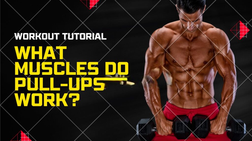 What Muscles Do Pull-Ups Work? A Comprehensive Guide to Targeting Lats ...